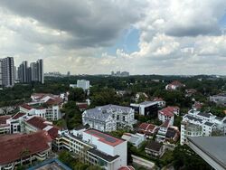 The Crest (D3), Condominium #516239651
